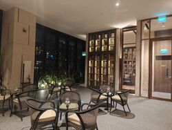 The Ritz-Carlton  (D9), Condominium #571815311